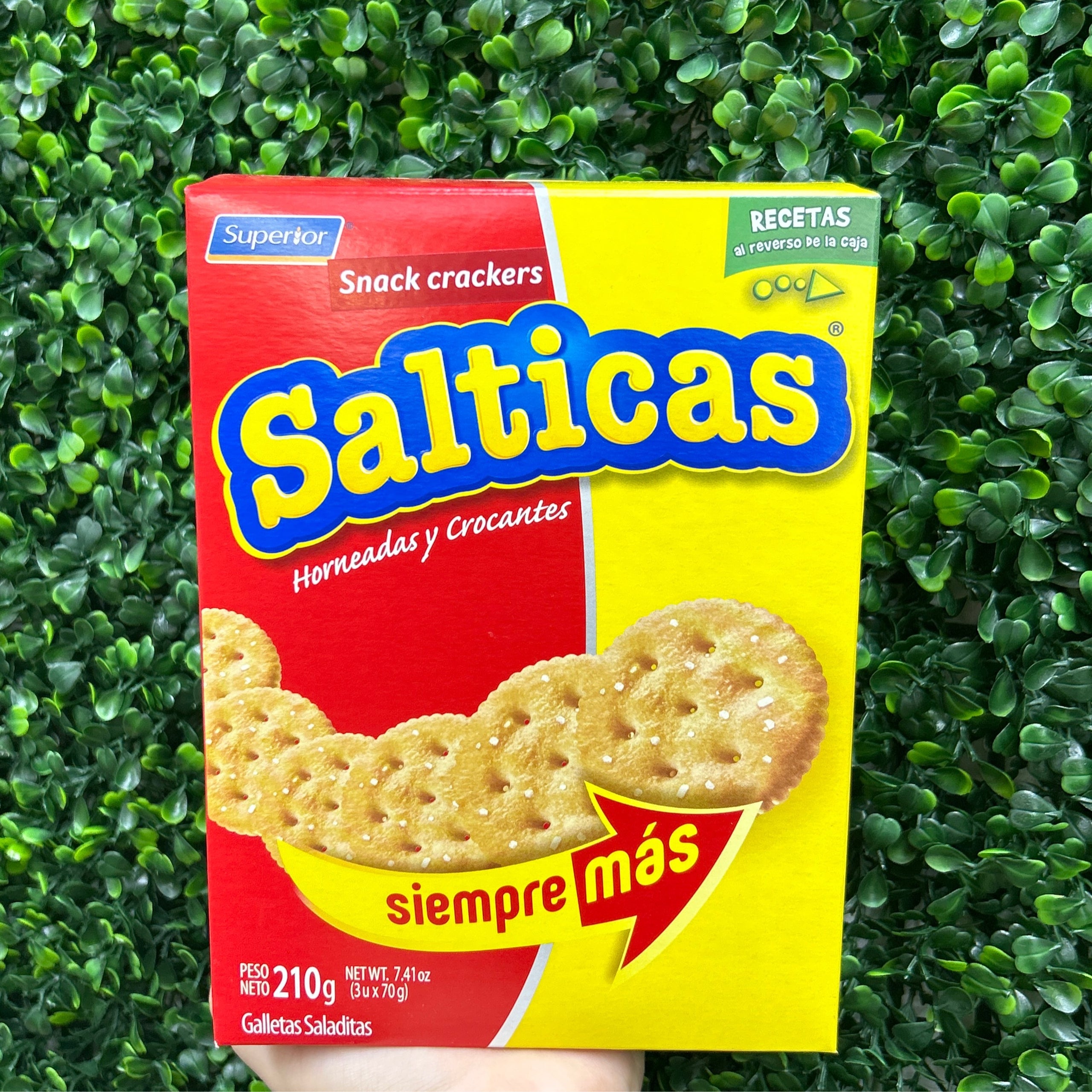 Saltica Salticas 210g | La Parada Ecuatoriana